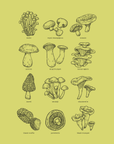Mycology · Cotton T-Shirt