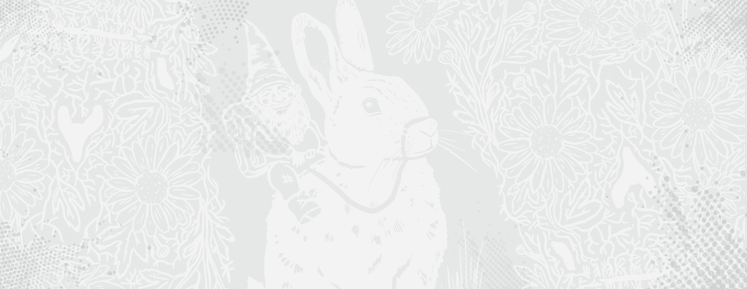Embark Design Co