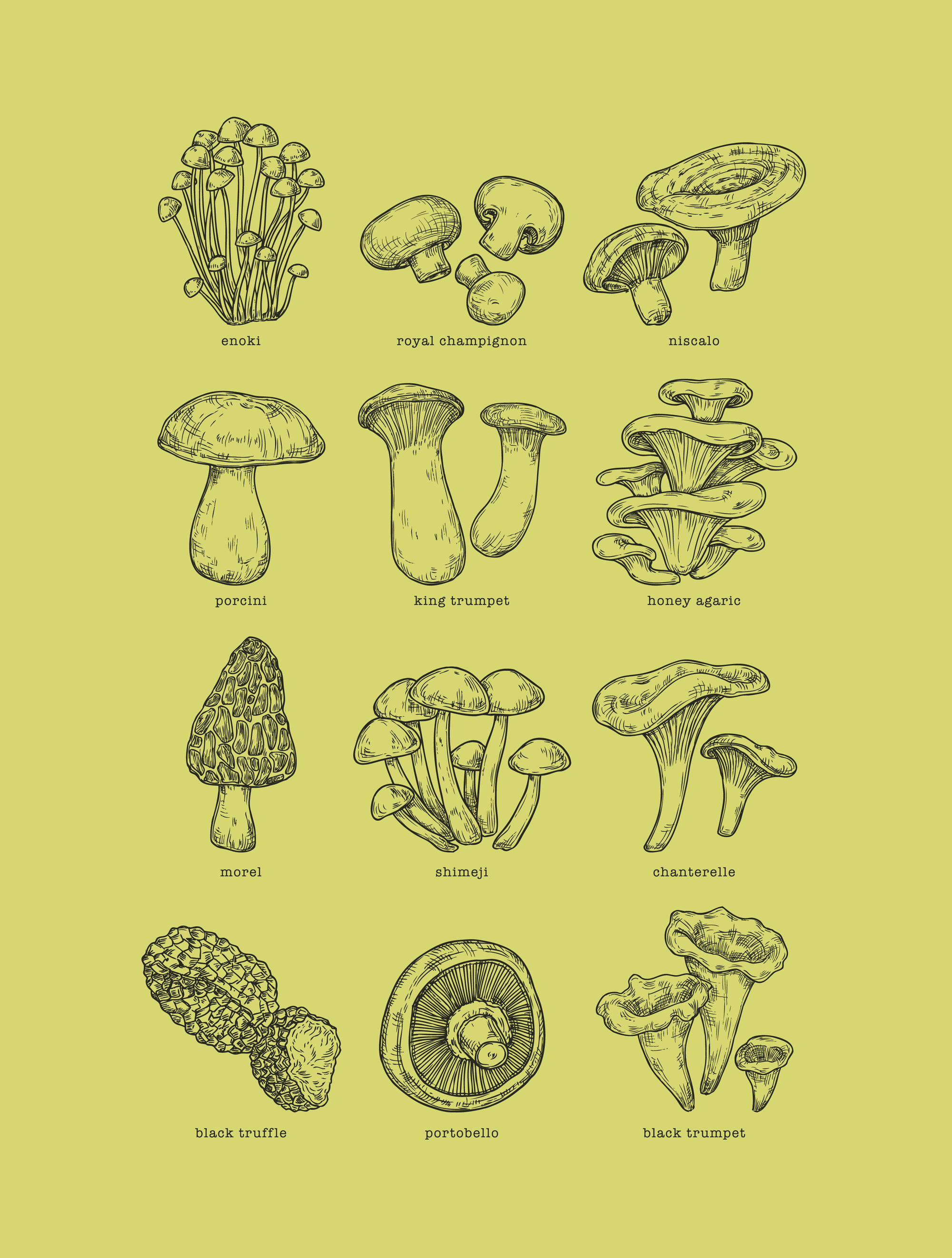 Mycology · Cotton T-Shirt